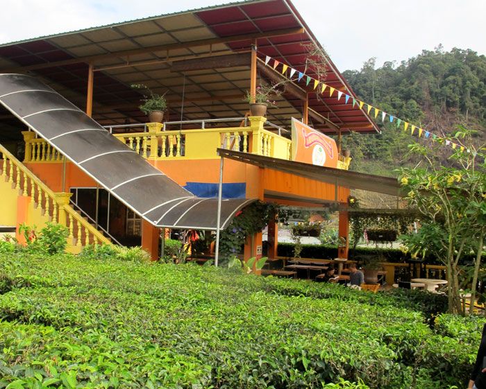 Kebun teh dan kafe 