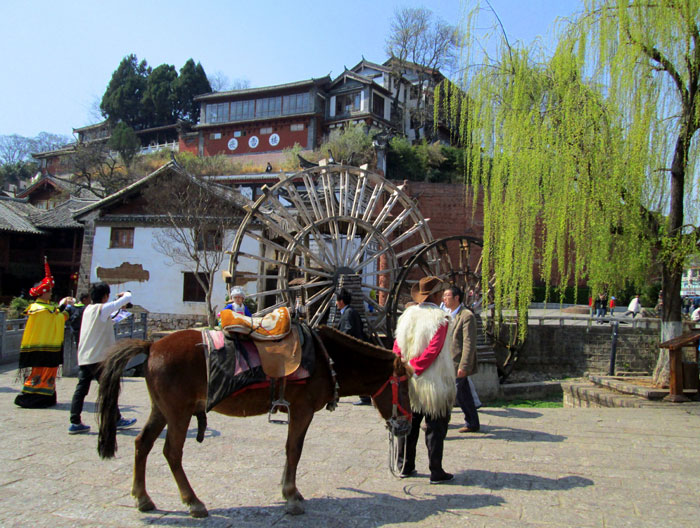 Kuda yang disewakan untuk turis