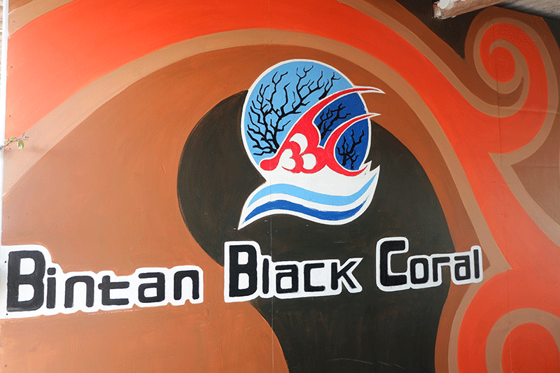 Bintan Black Coral