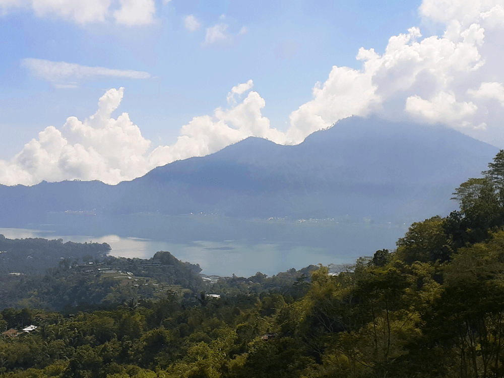 Kintamani